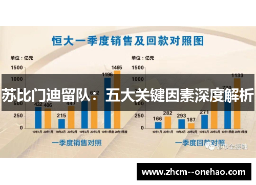 苏比门迪留队:五大关键因素深度解析 苏比门迪留队:五大关键因素深度解析