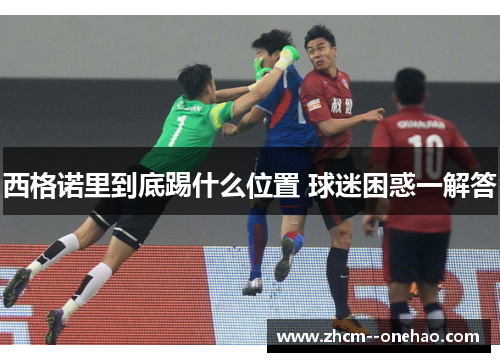 西格诺里到底踢什么位置 球迷困惑一解答
