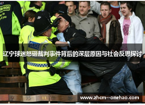 辽宁球迷怒砸裁判事件背后的深层原因与社会反思探讨