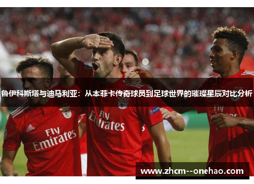 鲁伊科斯塔与迪马利亚：从本菲卡传奇球员到足球世界的璀璨星辰对比分析