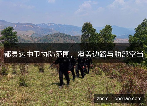 都灵边中卫协防范围，覆盖边路与肋部空当